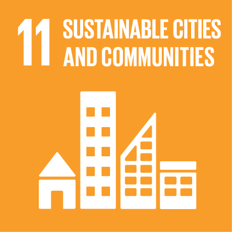 UN SDG 11